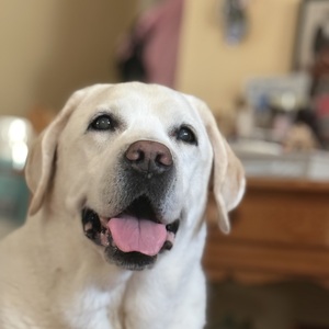 Team Page: Phoebe Warriors 